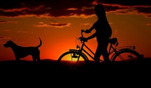 Cycliste et son chien promenade soleil couchant
