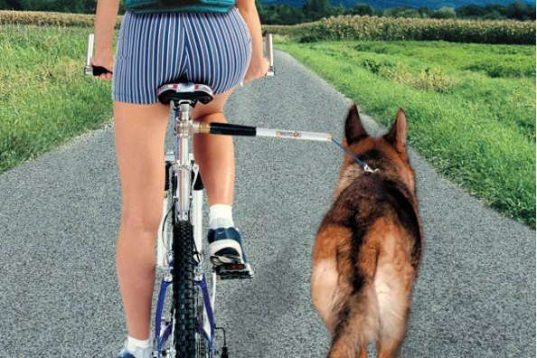 Walky Dog : faire du vélo sans risques avec son chien!