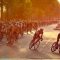 associations cyclistes france