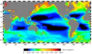 réchauffement climatique