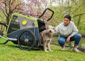 Croozer Dog XL Bruuno remorque chien