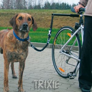 Faire du vélo avec un chien accessoires WALKY DOG - DOGFRENCHTOUCH