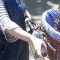 Comment faire du vélo avec son chien en sécurité