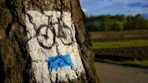 Un balisage de sentier vélo