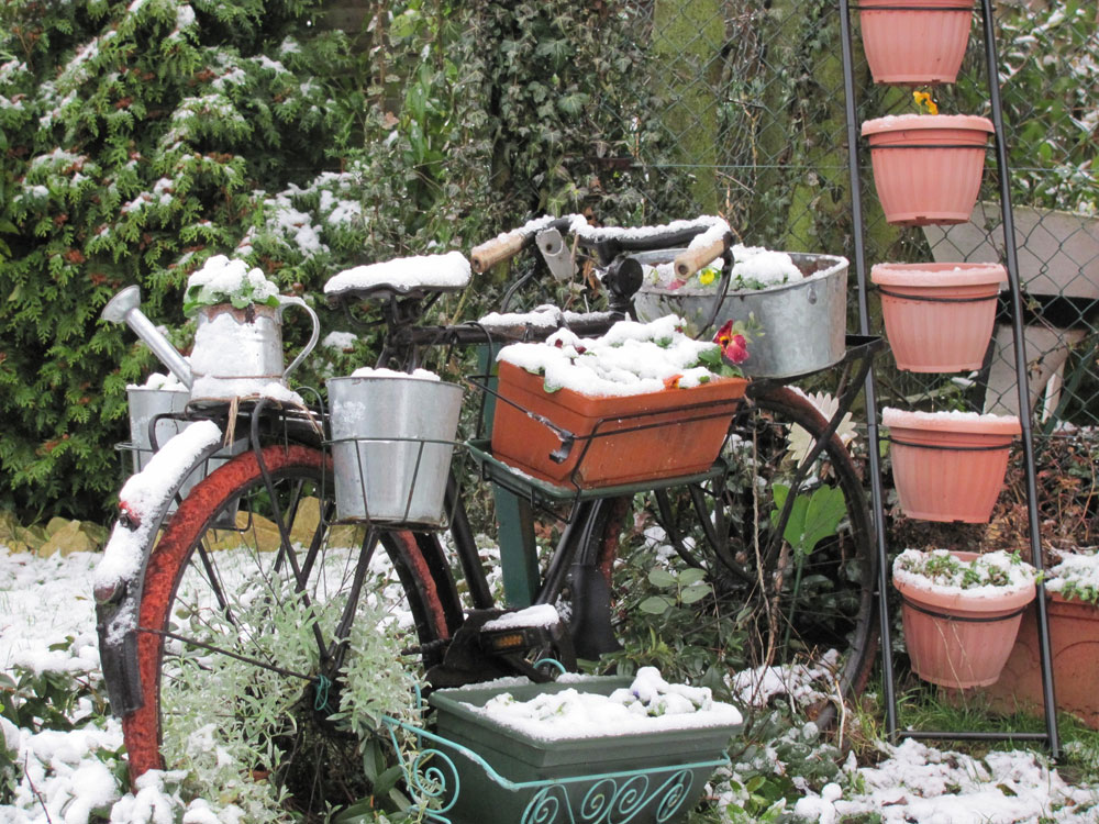 Concours photo « L’insolite dans le vélo » : Le vélo jardinière