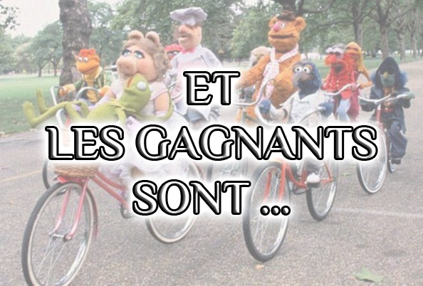 Concours photo “l’insolite et le vélo”: Résultats pour la session Février-Mars