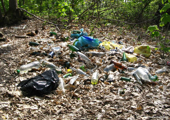 Respectez l’environnement lors de vos balades à vélo