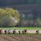 Le peloton professionnel lors du Tour des Flandres