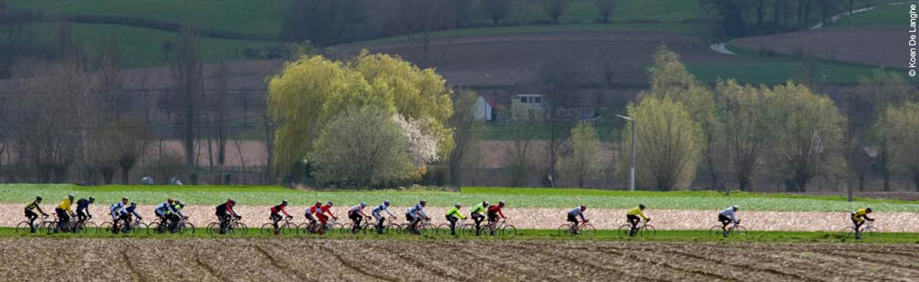 Le peloton professionnel lors du Tour des Flandres