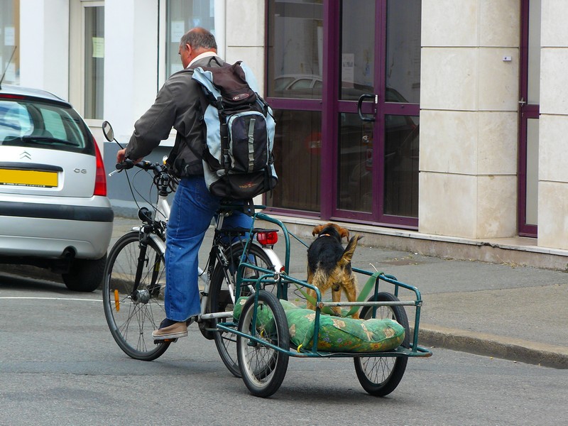 Concours photo « L’insolite dans le vélo » : Un cycliste et son chien