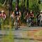 L'Aquitaine à vélo : un guide pour découvrir la région