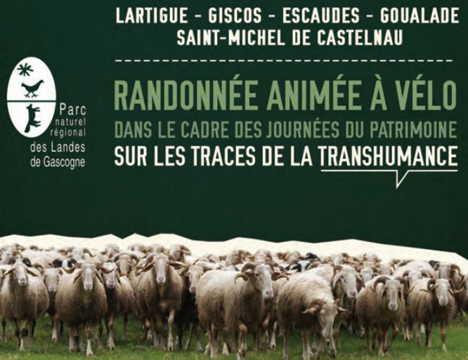 le-parc_a_velo_transhumance