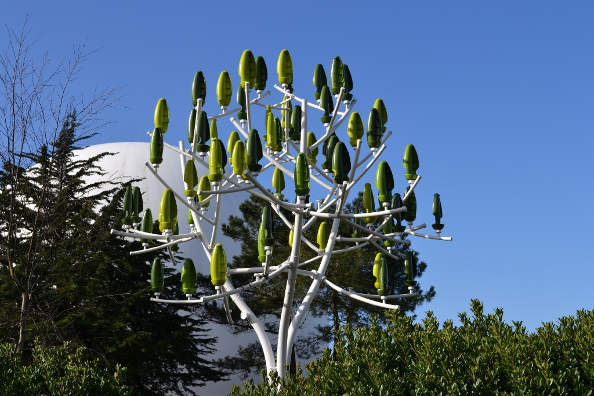 L’arbre à vent, une nouvelle source d’énergie, fort prometteuse