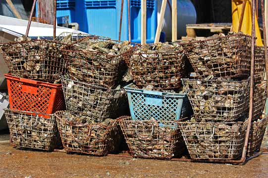 L'ostréiculture fait partie intégrante du paysage de l'île d'Oléron