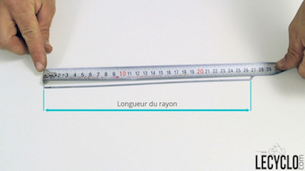 Taille rayon top velo