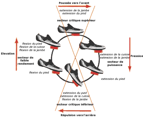 cyclisme-pedalage