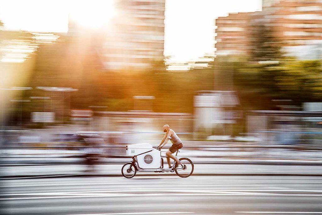 vélo cargo biporteur