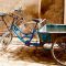 vélo cargo triporteur