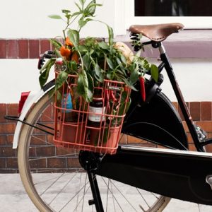 panier-velo-lateral-memories-bottle-basil-_full_2