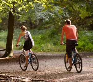 Cyclistes faisant du cyclotourisme