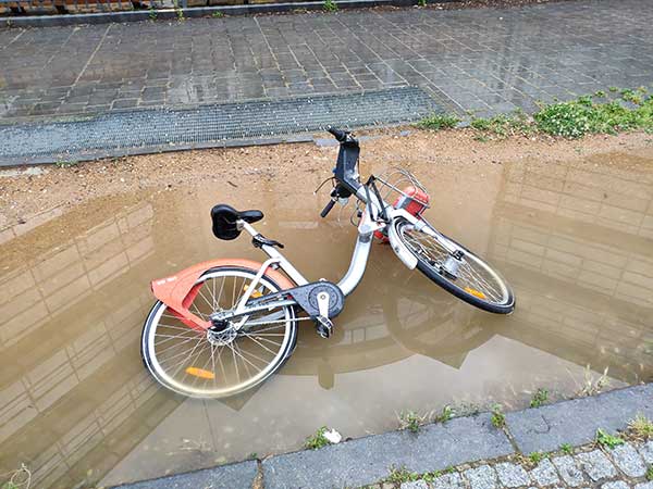 Un Velo'v lyonnais à l'agonie