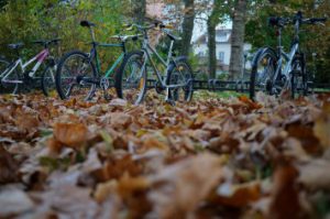 feuilles à vélo