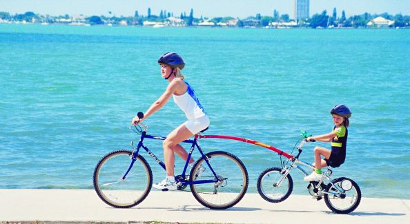 Dalettu Lot de 12 réflecteurs de vélo avant et arrière pour vélo de  montagne et vélos d'enfants