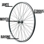 Jante, écrous, rayons et moyeu composent la roue d'un vélo