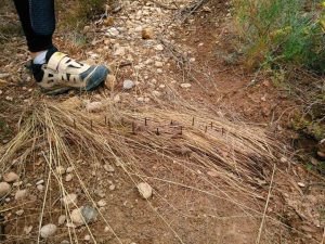 Un collectif sensibilise aux dangers encourus en VTT