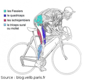 Perdre du poids en adoptant la pratique du vélo