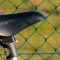 Comment régler correctement sa selle de vélo ?