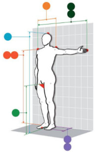 Taille de cadre selon la morphologie