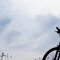 Entretenir sa santé à vélo