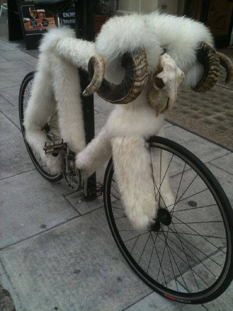 Vélos insolites : Un vélo velu 