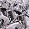 Vélo en libre-service à Paris
