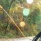 eurovelo3-velotourisme-velo-foret
