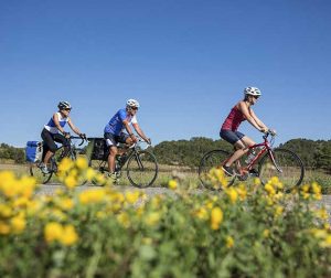 Cyclotouristes sur la véloroute de La Manche