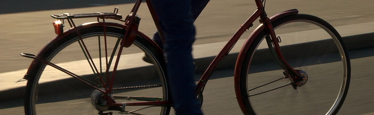 laurent védrine la reine bicyclette