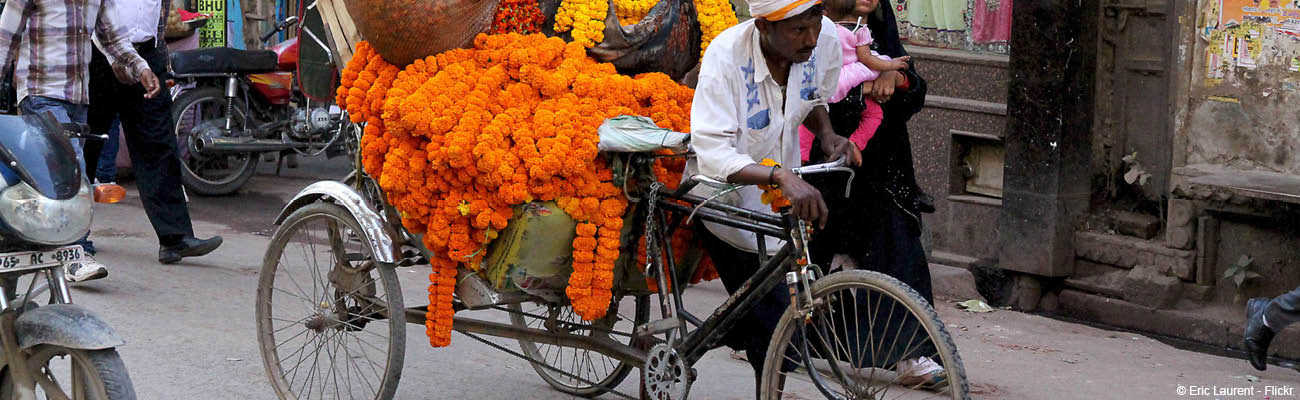 journee-mondiale-du-velo-promouvoir-le-velo-inde