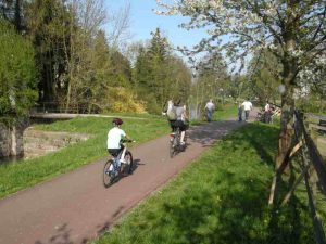 Une famille en randonnée à vélo le long du canal