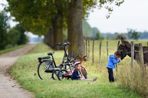 Voie bleue Saone enfant avec cheval