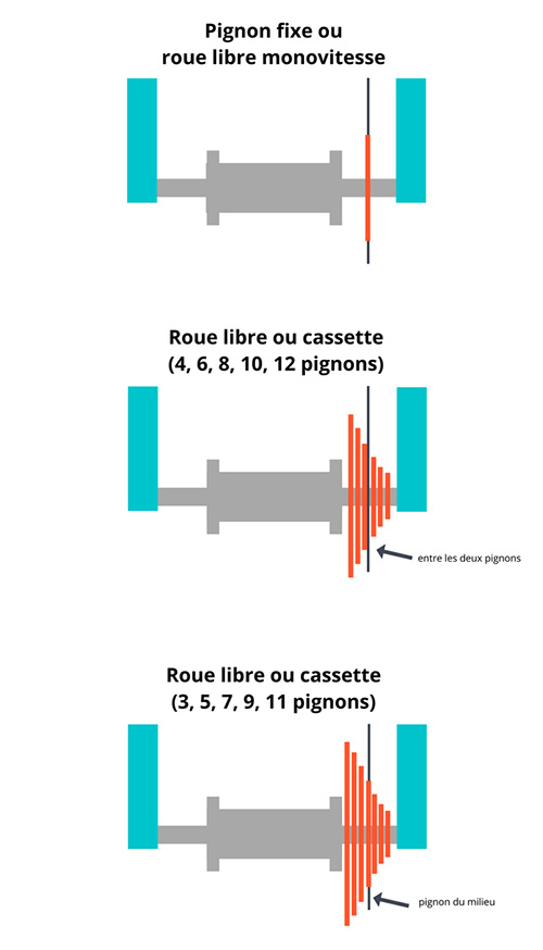 Schéma avec pignon fixe ou roue libre