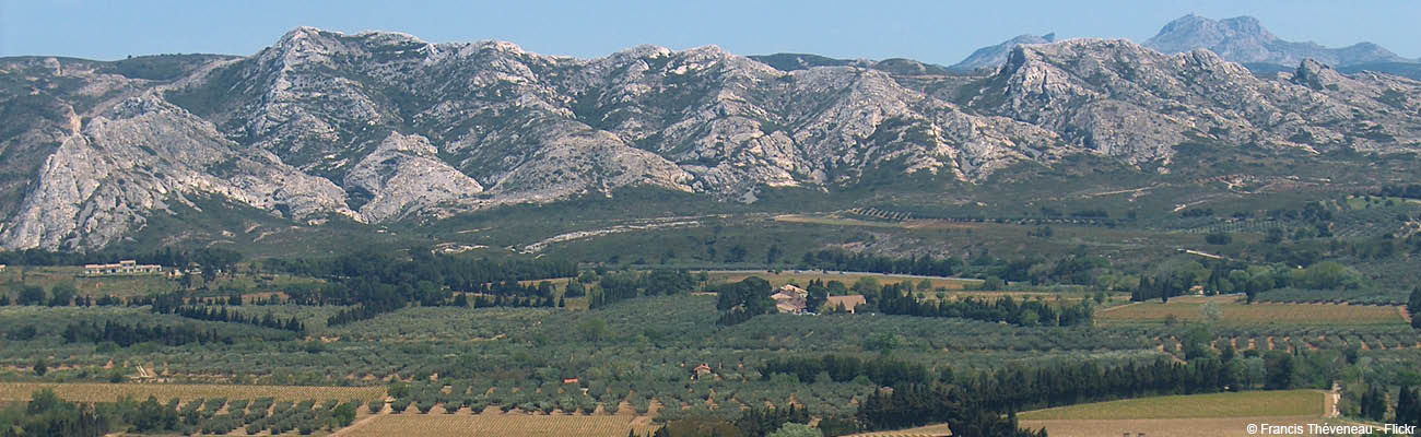 les alpilles paysage