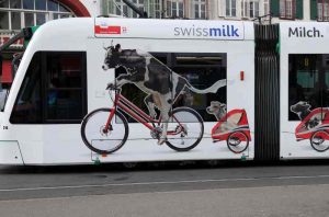 Intermodalité vélo et transports en commun : la vache cycliste