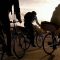 Copenhague, le vélo à l'honneur