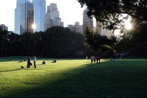 Central Park, un lieu idéal pour faire du vélo