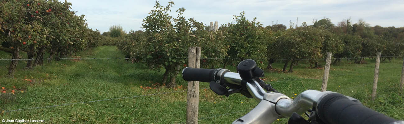 Tourisme vélo : la route des fruits