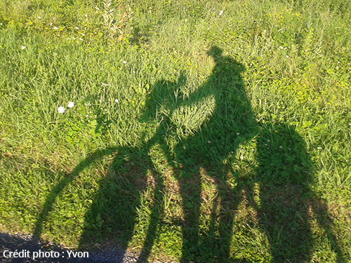 Promenade à vélo Yvon