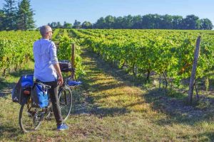 Vignes à Cognac sur la Flow Vélo®