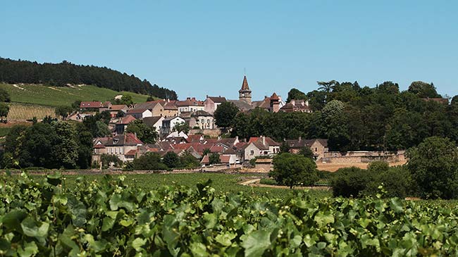 Randonnée à vélo dans les vignobles de Bourgogne